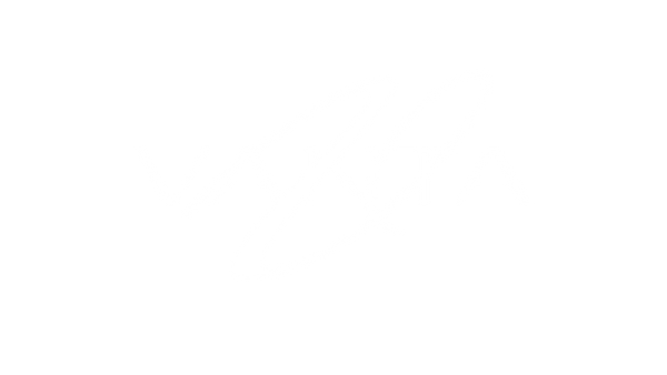 VANTA